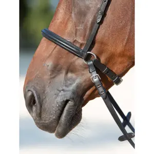 Gebisslose Trense für Pferde Kieffer Ultrasoft® Kendra buckles on both sides image-3