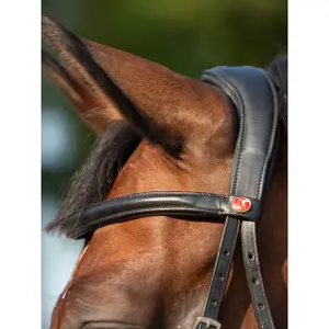 Gebisslose Trense für Pferde Kieffer Ultrasoft® Kendra buckles on both sides image-4