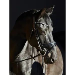 Trense Kieffer Priya browband with pink ultrashine crystals + pearls image-1