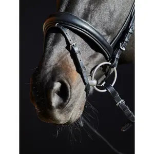 Trense Kieffer Priya browband with pink ultrashine crystals + pearls image-3