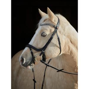 Uzda do jazdy konnej Kieffer Ilona Bb Light Ultrashine Crystals+Pearls image-1