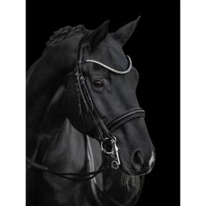 Wędzidło jeździeckie z kwadratowymi chromowanymi pętelkami Kieffer Grace image-4