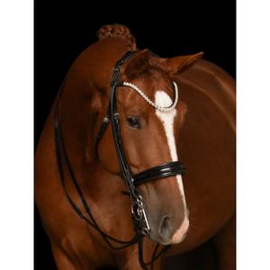 Podwójne ogłowie Kieffer Faye with square chrome buckles image-4