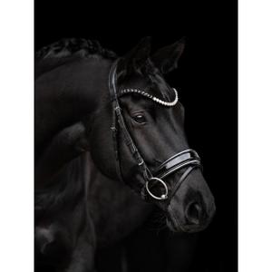 Uzda do jazdy konnej Kieffer Nora image-2