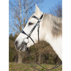 Uzda jeździecka Kieffer Isabella with leather reins image-1