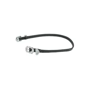 Throat swab Kieffer Isabella with silver col.fittings image-0