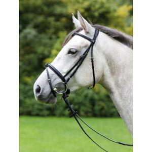 Uzda do jazdy konnej Kieffer Anja Beran combined noseband and chip pad
