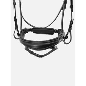 Riding bridle Kieffer Perseus with leather browband Pull-Back Nosebd.W.Flash Strap image-2