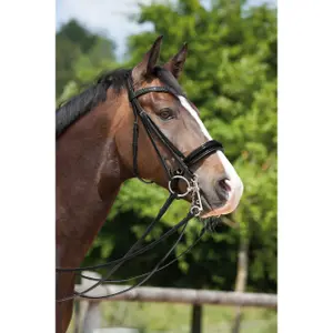 Double bridle Kieffer Paris with square chrome buckles image-2