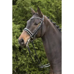 Double bridle Kieffer Paris with square chrome buckles image-3