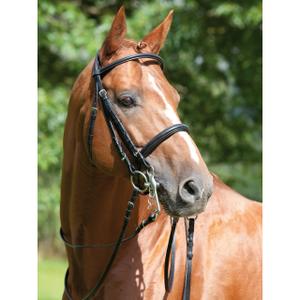 Podwójne ogłowie Kieffer Anja Beran image-4