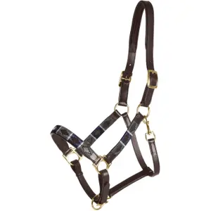 Horse halter with chrome buckles Kieffer Buenos Aires with chrome buckles image-0