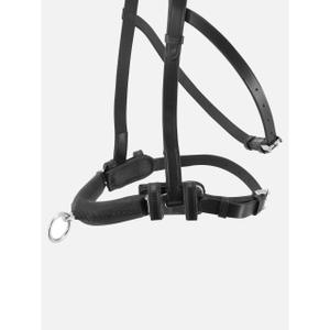 Paardenbox Kieffer Anja Beran image-1