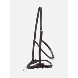 Paardenbox Kieffer Anja Beran image-3