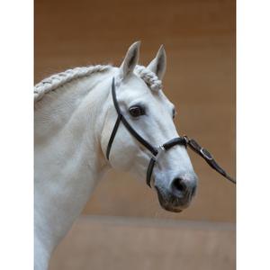 Paardenbox Kieffer Anja Beran image-4