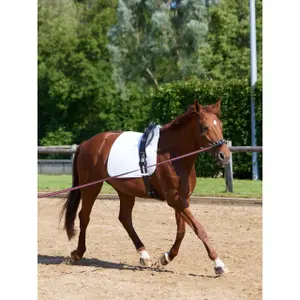 Sursangle Kieffer Equishape Pro image-1