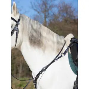 Borstplaat Kieffer Isabella with brass fittings image-1