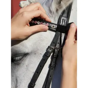 Rokketketting rook Kieffer Flexiloop Luxe curved browband lined image-1