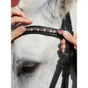 Rokketketting rook Kieffer Flexiloop Luxe curved browband lined image-2