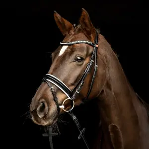 Riding Bridle + Noseband Kieffer Comfort Lyon