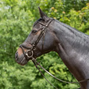 Bridon équitation muserolle combinée Kieffer Ultrasoft® Tara image-0