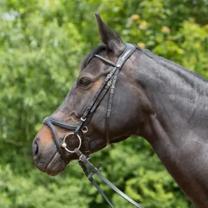 Riding Bridle + Noseband Kieffer Ultrasoft® Tara image-0