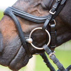 Riding Bridle + Noseband Kieffer Ultrasoft® Tara image-1