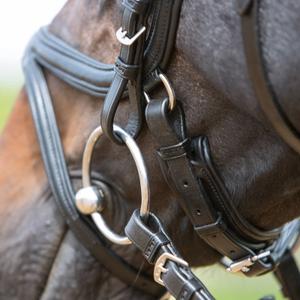 Riding Bridle + Noseband Kieffer Ultrasoft® Tara image-2