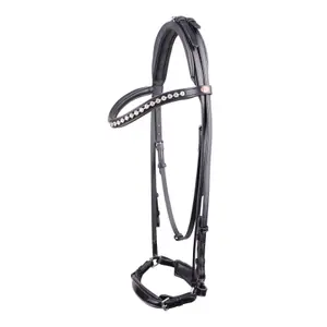 Riding Bridle + Noseband Kieffer Melody