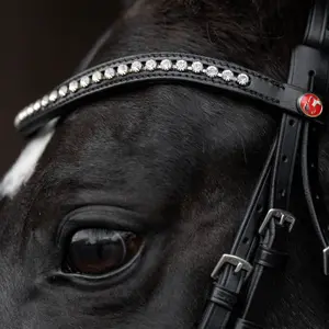 364-443-trensenzaum-kieffer-comfort-paris-black-sewn