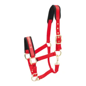 553-1541-halfter-kieffer-collection-rot