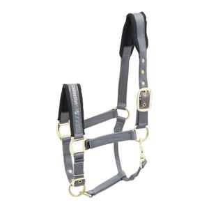 product/k/i/kieffer_553-15417.jpg