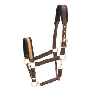 553-404-testiera-in-nylon-per-cavallo-kieffer-collection-marrone-scuro