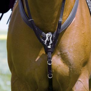 Hunting collar for horse Kieffer Jessica image-1