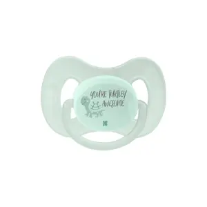 Dummy with ribbon Kikkaboo Turtley Awesome image-0