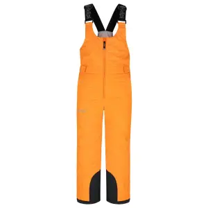 Ski pants Kilpi Daryl image-0