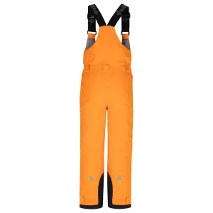 Ski pants Kilpi Daryl image-1