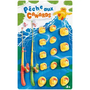 Creative activities duck fishing kit Kim'Play