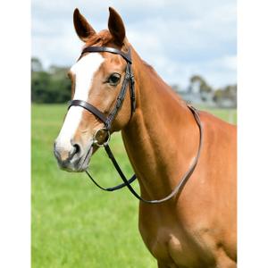 1025203004-jagdzugel-mit-zugeln-kincade-classic-braun