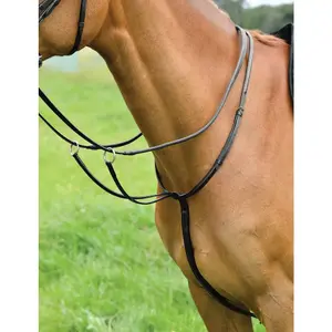 Erhöhtes einfaches Martingal für Pferde Kincade Classic image-0