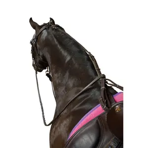 Correa para caballo anti-pasteo Kincade Poly