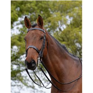 228351-zaumzeug-fur-pferde-kincade-weymouth-ii-schwarz