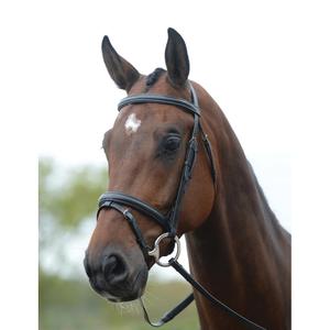 228373-zaumzeug-fur-pferde-kincade-flash-schwarz