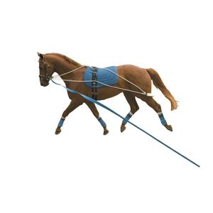 561500-surfix-fur-pferd-kincade-weiss-blau-tu
