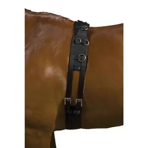 562094-longe-reiten-kincade-deluxe-schwarz