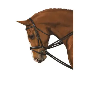 Σχοινιά για άλογο Kincade Web Draw image-0