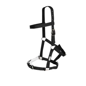 Línea de cabezada de equitación Kincade Padded