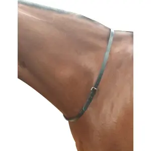 589724-halsband-fur-pferde-kincade-schwarz