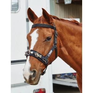 593613-paardenbox-kincade-lunge-zwart