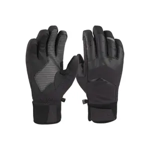 Ski gloves KinetiXx Brec GTX® image-0